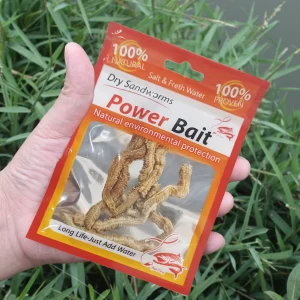 Lifelike Dry Lugworm Sandworms for Saltwater Freshwater